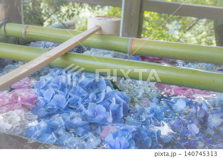 色鮮やかな紫陽花が敷き詰められた美しい花手水 色鮮やかな紫陽花が敷き詰められた美しい花手水 140745313