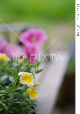 ベンチに花 ベンチに花 140745354