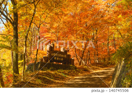 山梨県立武田の杜・健康の森の紅葉 山梨県立武田の杜・健康の森の紅葉 140745506