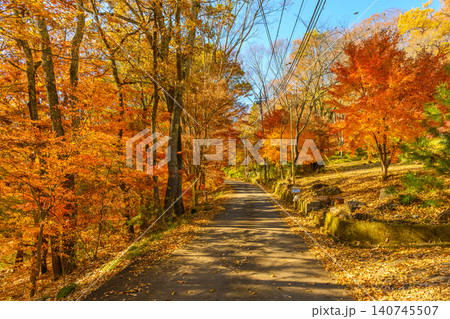 山梨県立武田の杜・健康の森の紅葉 山梨県立武田の杜・健康の森の紅葉 140745507