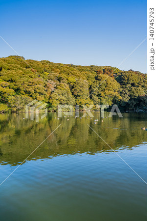 御前崎市の桜ヶ池の風景(静岡県) 140745793