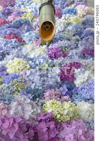 色鮮やかな紫陽花が敷き詰められた美しい花手水 色鮮やかな紫陽花が敷き詰められた美しい花手水 140746065