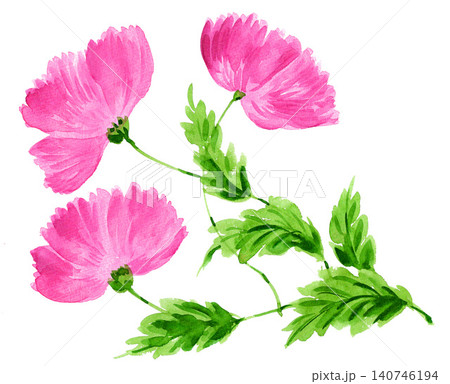 水彩で描いたpoppys263pix7 140746194
