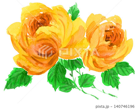 黄色い薔薇26301pix7 140746196