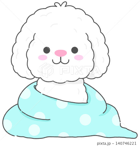 Adorable Puppy Wrapped in Towel After Bath Time Adorable Puppy Wrapped in Towel After Bath Time 140746221