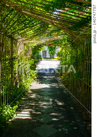 梨木神社 三條父子と愛の木のご利益:学業成就,縁結び,家内安全,健康長寿 梨木神社 三條父子と愛の木のご利益:学業成就,縁結び,家内安全,健康長寿 140747797