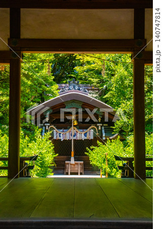 梨木神社 三條父子と愛の木のご利益:学業成就,縁結び,家内安全,健康長寿 梨木神社 三條父子と愛の木のご利益:学業成就,縁結び,家内安全,健康長寿 140747814
