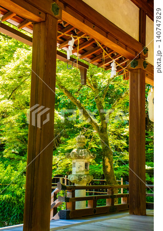 梨木神社 三條父子と愛の木のご利益:学業成就,縁結び,家内安全,健康長寿 梨木神社 三條父子と愛の木のご利益:学業成就,縁結び,家内安全,健康長寿 140747829