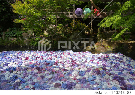 あじさいの水中花 140748182