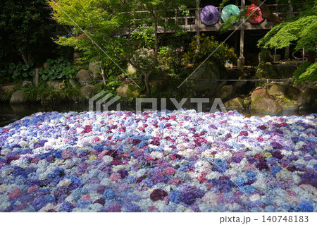 あじさいの水中花 あじさいの水中花 140748183