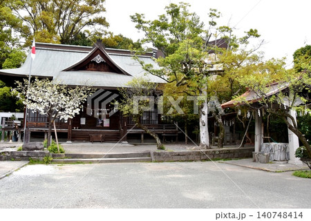 熊本市　熊本大神宮本殿と新緑 140748414