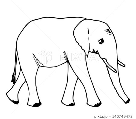 Hand-drawn simple vector illustration in black outline. Big elephant in full growth side view. Wild animal, jungle, safari, zoo, nature. Sketch in ink. For prints, children's coloring. 140749472