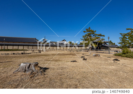 斑鳩の里法隆寺 140749840