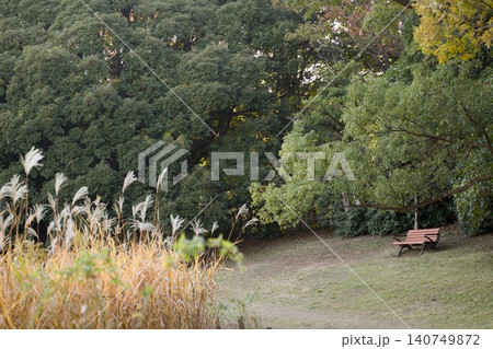 秋の公園のベンチ 秋の公園のベンチ 140749872