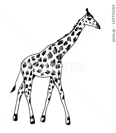Hand-drawn vector illustration with black outline. Full length giraffe, spotted skin, side view isolated on a white background. Wild animals africa, nature, zoo. Safari, savannah. For t-shirt prints. 140750264