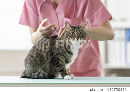 動物病院で予防接種を受ける猫 動物病院で予防接種を受ける猫 140750852