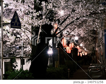 春のライトアップされた神田川の夜桜と街灯 140751256