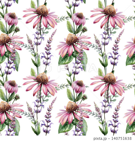 Echinacea and sage mix seamless pattern watercolor illustration. Botanical herbs blend for organic health immunity pharmacy branding, cold remedy packaging, medical floral tea design, wellness print 140751638