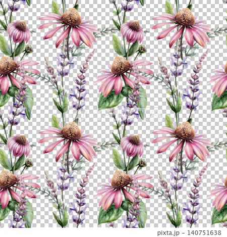 Echinacea and sage mix seamless pattern watercolor illustration. Botanical herbs blend for organic health immunity pharmacy branding, cold remedy packaging, medical floral tea design, wellness print 140751638