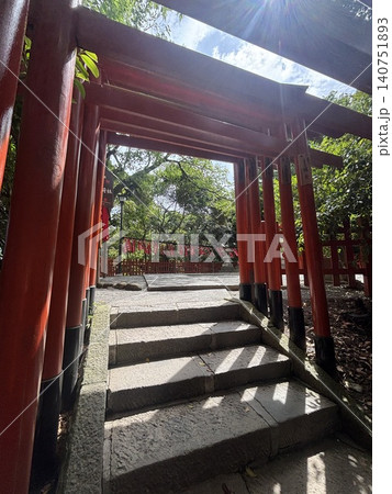 鳥居と太陽 鳥居と太陽 140751893