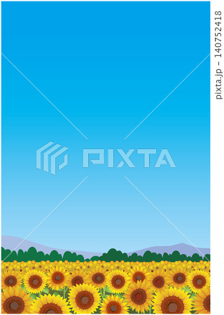 夏のひまわり畑風景 夏のひまわり畑風景 140752418