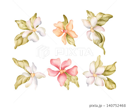 Cute Little Flower Leaves Jasmine Apple Blossom Blooming Set. Watercolor hand drawn floral illustration isolated on white background summer design home textile fresh fabric cosmetic package crockery Cute Little Flower Leaves Jasmine Apple Blossom Blooming Set. Watercolor hand drawn floral illustration isolated on white background summer design home textile fresh fabric cosmetic package crockery 140752468