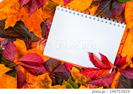 Blank Notebook Sits on Colorful Autumn Leaves in a Bright Setting During Fall Season 140753829