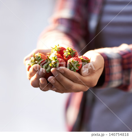 Strawberry, closeup and person with nutrition, hands and harvest with sustainability and agriculture. Finger, farmer and vegan with fruit and wellness for health and diet with vegetarian gardener Strawberry, closeup and person with nutrition, hands and harvest with sustainability and agriculture. Finger, farmer and vegan with fruit and wellness for health and diet with vegetarian gardener 140754818