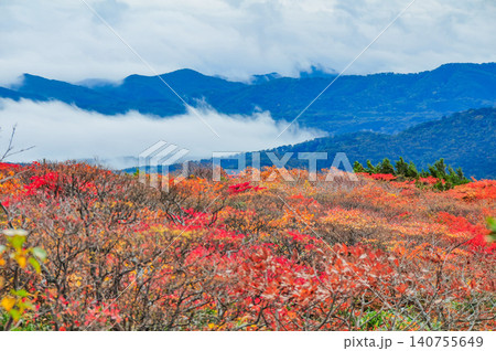 秋の曇天 紅葉最盛期の栗駒山・登山道から望む美しい紅葉と眼下に広がる雲海風景 秋の曇天 紅葉最盛期の栗駒山・登山道から望む美しい紅葉と眼下に広がる雲海風景 140755649