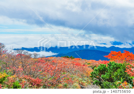 秋の曇天 紅葉最盛期の栗駒山・登山道から望む美しい紅葉と眼下に広がる雲海風景 秋の曇天 紅葉最盛期の栗駒山・登山道から望む美しい紅葉と眼下に広がる雲海風景 140755650