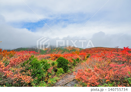 秋の曇天 紅葉最盛期の栗駒山・谷筋に向けてどこまでも広がる美しい紅葉の山肌風景 秋の曇天 紅葉最盛期の栗駒山・谷筋に向けてどこまでも広がる美しい紅葉の山肌風景 140755734