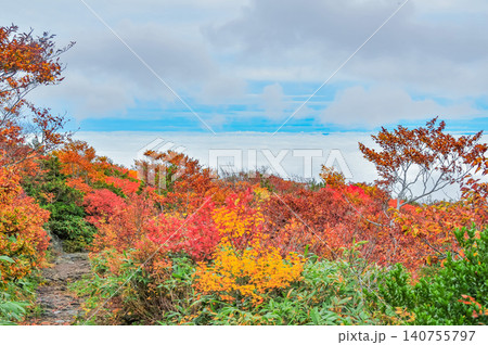 秋の曇天 紅葉最盛期の栗駒山・登山道から望む美しい紅葉と眼下に広がる雲海風景 秋の曇天 紅葉最盛期の栗駒山・登山道から望む美しい紅葉と眼下に広がる雲海風景 140755797