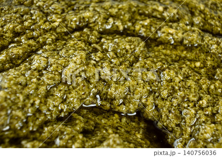 Gourmet green sauce texture with chopped herbs and nuts 140756036