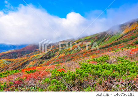 秋の曇天 紅葉最盛期の栗駒山・登山道から望む美しい紅葉と眼下に広がる雲海風景 140756183