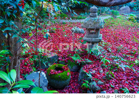 苔の蹲にに落ちた紅葉 140756623