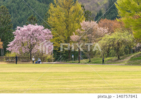 260419ひろ野g026 260419ひろ野g026 140757841