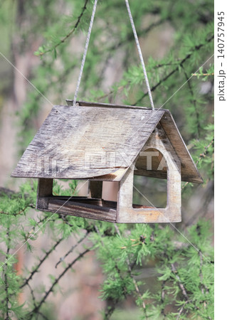 Close up of weathered wooden bird feeder hanging on larch branch 140757945