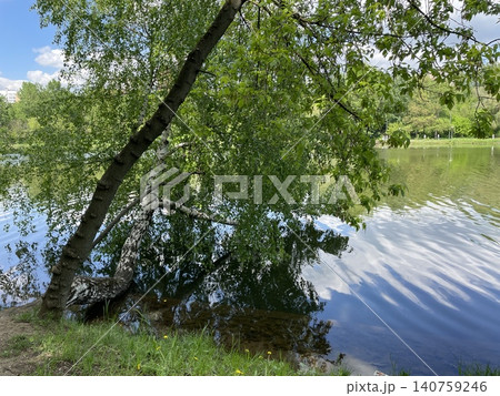 Scenic summer lake view with tree reflection and lush greenery suitable for nature background Scenic summer lake view with tree reflection and lush greenery suitable for nature background 140759246