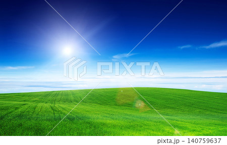 Meadow landscape. Green field and blue sky. 140759637