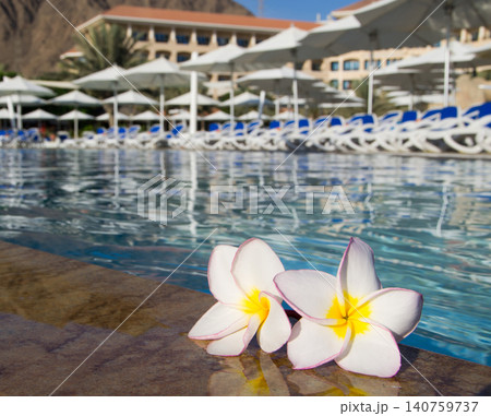 flower on swimming pool flower on swimming pool 140759737