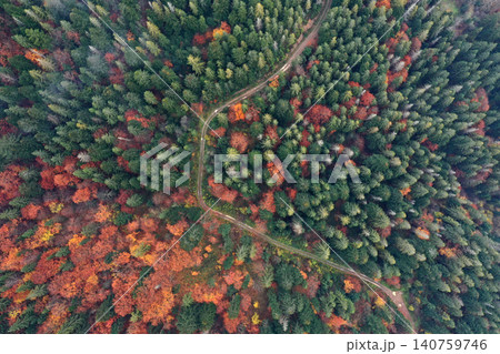 Carpathian  mountain forest sunny landscape 140759746