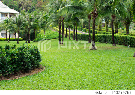 Garden stone path with grass Garden stone path with grass 140759763