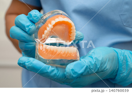 Asian dentist holding dental teeth model for learn about dentistry. Asian dentist holding dental teeth model for learn about dentistry. 140760039