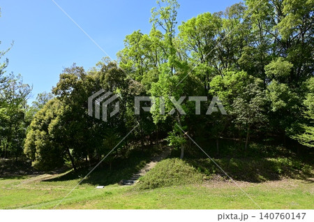 白鳥塚古墳(愛知県名古屋市守山区) 白鳥塚古墳(愛知県名古屋市守山区) 140760147