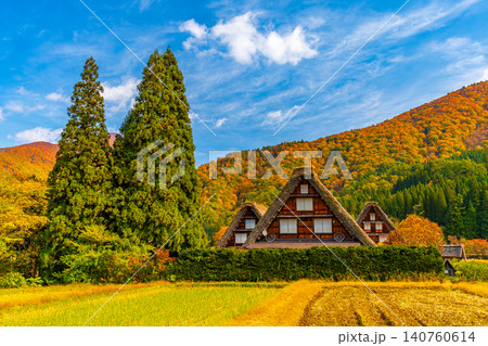 白川郷　紅葉　秋の絶景　日本の絶景 140760614