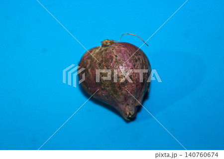 Fresh Red Shallot Isolated on Blue Background Fresh Red Shallot Isolated on Blue Background 140760674
