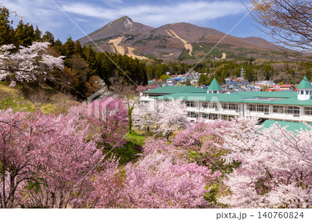 福島県耶麻郡猪苗代町古城跡 ソメイヨシノなど数種の桜が咲く亀ヶ城公園 サクラと校舎と磐梯山の景色 福島県耶麻郡猪苗代町古城跡 ソメイヨシノなど数種の桜が咲く亀ヶ城公園 サクラと校舎と磐梯山の景色 140760824