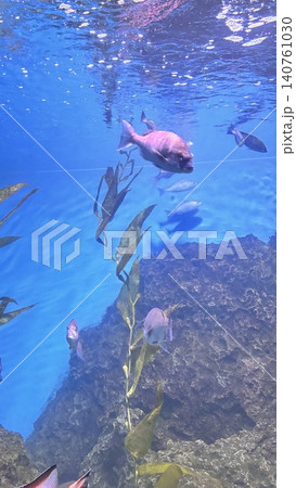 花蓮 海 大洋 140761030