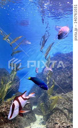 花蓮 海 大洋 140761031