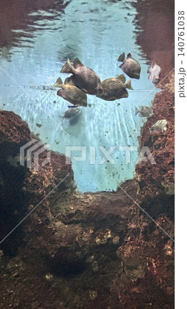 花蓮 海 大洋 140761038